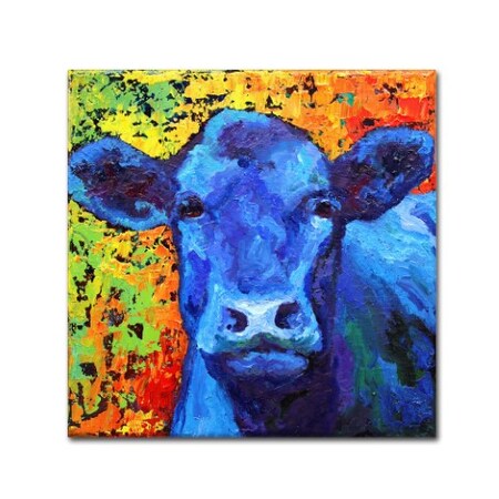 Marion Rose 'Blue Cow' Canvas Art,35x35